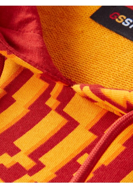Galatasaray Çocuk Hoodie C252110