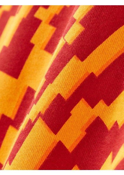 Galatasaray Çocuk Hoodie C252110