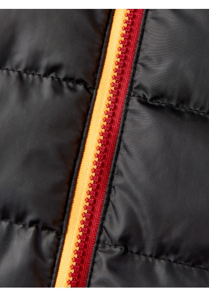 Galatasaray Erkek Yelek E252135 modelleri