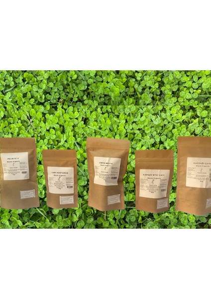 Tıbbi Bitki Çayları Set 2 ( Pelin Otu, Sarı Kantaron, Limon Melisa, Karışık Bitki Çayı, Kazdağı Çayı)