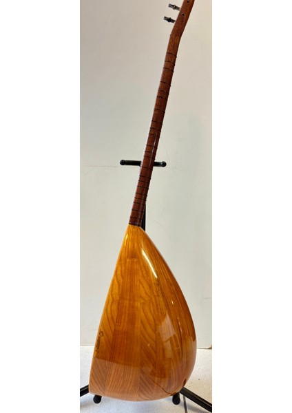 Ekolayzırlı Uzun Sap Dut Bağlama indirimleri