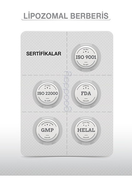 Lipozomal Berberis 60 Tablet Takviye Edici Gıda indirimleri