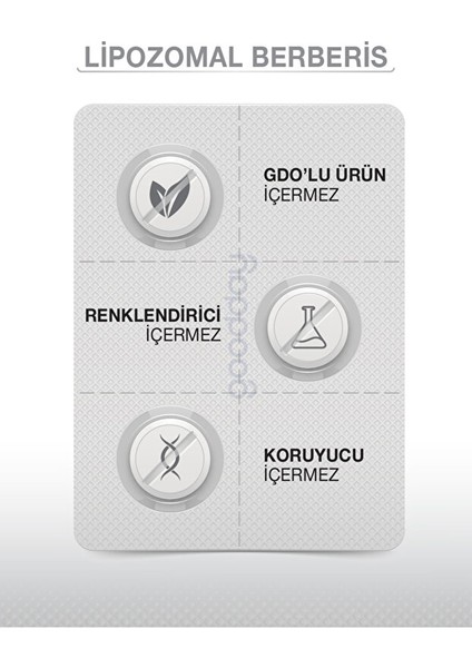 Lipozomal Berberis 60 Tablet Takviye Edici Gıda