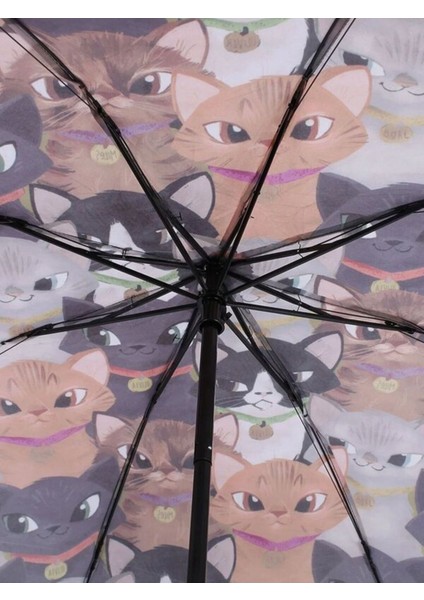 Renkli Kedi Desenli 8 Telli Rüzgar Dayanıklı Manuel Şemsiye modelleri