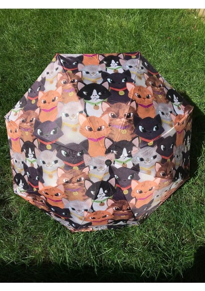 Renkli Kedicik Desenli Unisex Şemsiye, Şık ve Hafif Tasarım