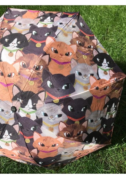 Renkli Kedicik Desenli Unisex Şemsiye, Şık ve Hafif Tasarım fiyatları