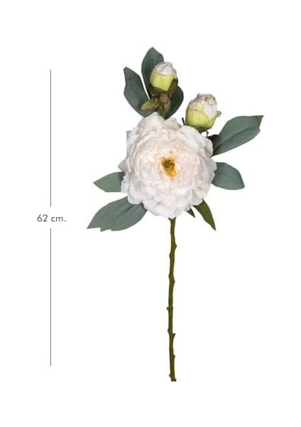 Çiçek Şakayık Beyaz 62 Cm. modelleri