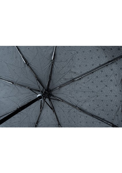 Renkli Otomatik Şemsiye, Siyah ve Çeşitli Desen Seçenekleriyle Şıklık Katıyor