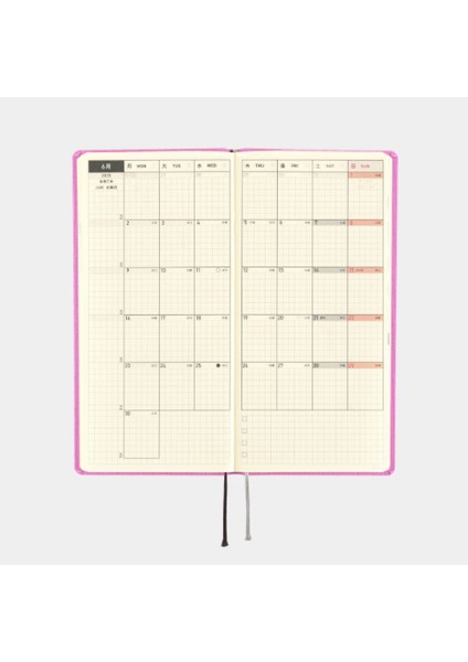 Techo Weeks 2025 Colors: Sweet Purple