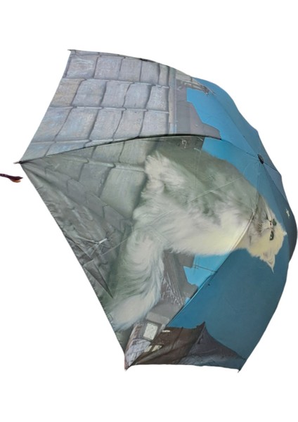 Rüzgar Dayanıklı 8 Telli Yarasa Modeli Çok Renkli Şık ve Kullanışlı fiyatları