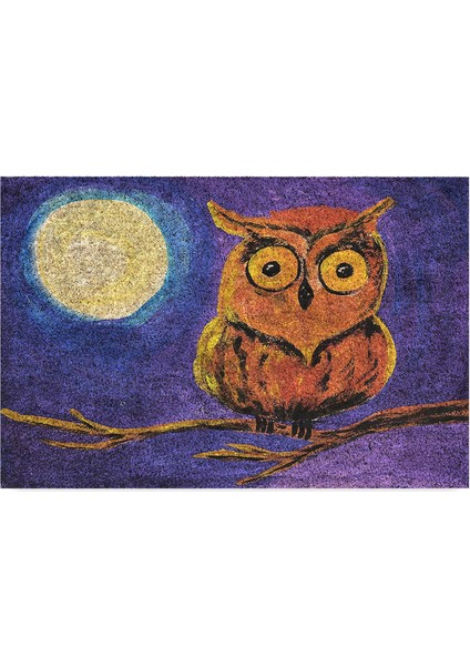 Tasarımlı Dekoratif Kapı Önü Paspas, Dış Mekan/ev Içi/ /mutfak/yatak Odası/giriş Paspasları (Gece, 45X70)