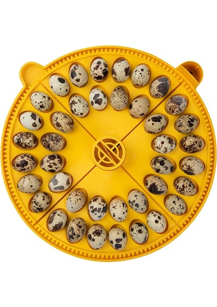Products Maxi Advance Kuluçka Makinesi Küçük Yumurta Çeyrek Ekleme (40 Bıldırcın Yumurtası), Sarı