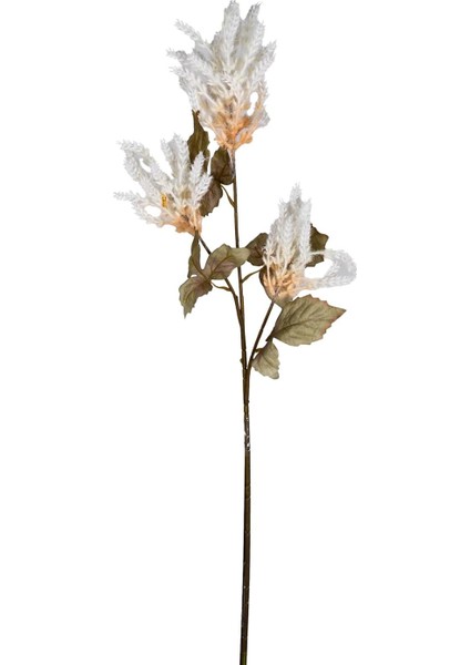 Çiçekli Bitki Pampas Krem 90 Cm.