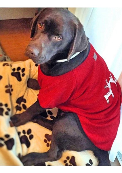 Red Deer Orta Irk Köpek Yılbaşı Kazağı (15-20 kg Uygun)) fiyatları