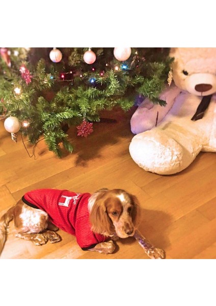 Red Deer Orta Irk Köpek Yılbaşı Kazağı (15-20 kg Uygun)) modelleri