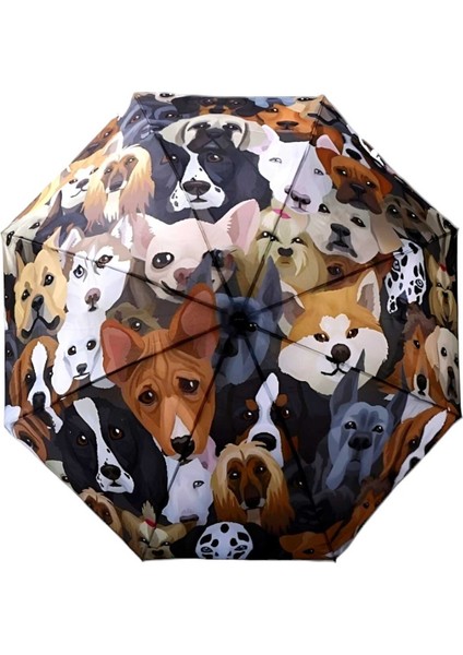 Renkli Köpek Desenli Katlanabilir Rüzgar Dayanıklı 8 Telli Manuel Şemsiye modelleri