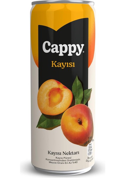 Cappy Kayısı Nektarı Kutu 12X330 ml