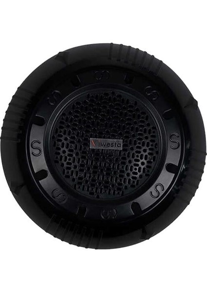 Westa WS-1119TB 13 cm Sıva Üstü Siyah Tavan Hoparlör