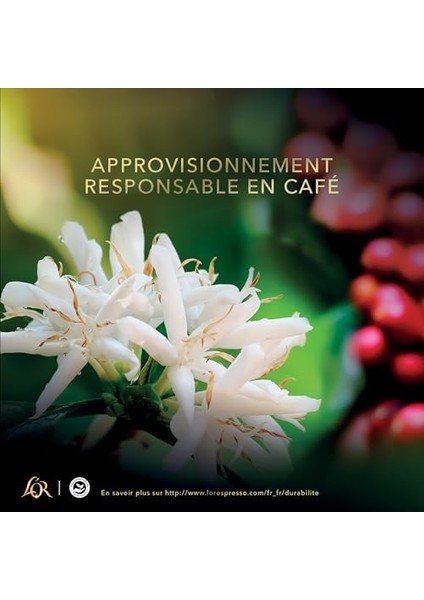 L&apos;orr Kap Vanilya Aromalı 10 x 10 Adet modelleri