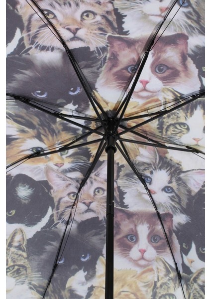 Renkli Kedi Desenli 8 Telli Rüzgar Dayanıklı El Şemsiyesi fırsatları