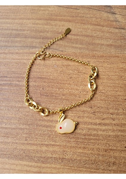 Charmli Çelik Bileklik fiyatları