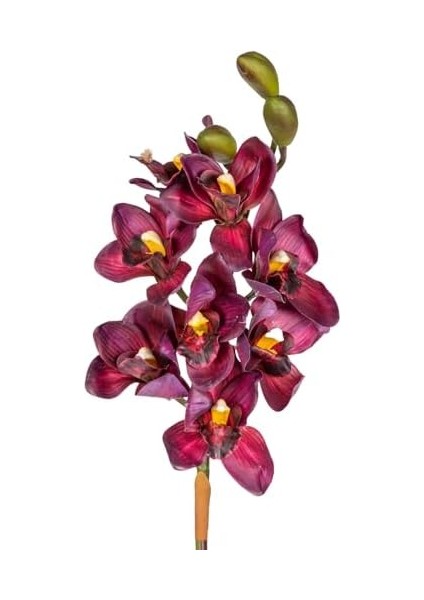 Yapay Orkide Gerçek Dokulu Bordo 75 Cm. fiyatları