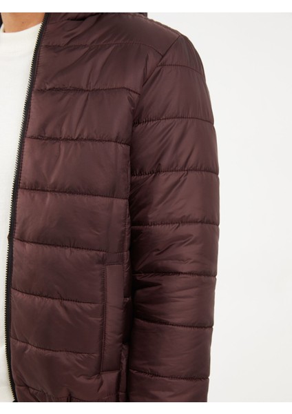 Yeni Sezon Standart Kalıp Kapüşonlu Erkek Şişme Mont fırsatları