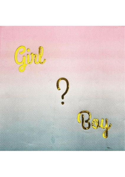 Peçete Cinsiyet Partisi Peçetesi Pembe Mavi Geçişli Girl Boy Yazılı Lüks Cinsiyet Peçetesi 20LI fırsatları