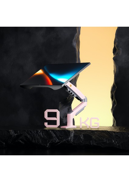 Monitör Standı North Bayou Nb F80 (2025 Yeni Model) Amortisörlü Tekli Monitör Standı Pembe Pink (17-30 Inç)-(2-9 Kg)