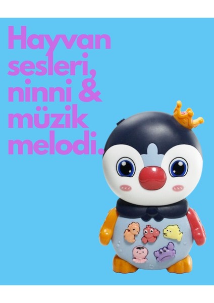 Eğitici Penguen fiyatları
