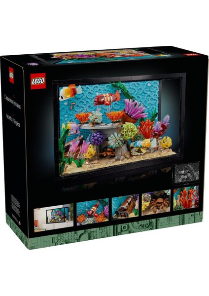 10366 Icons Tropikal Akvaryum