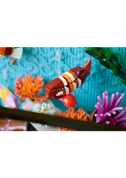 10366 Icons Tropikal Akvaryum fırsatları