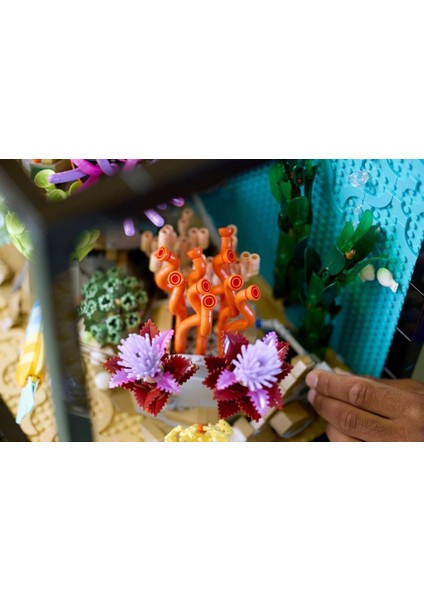 10366 Icons Tropikal Akvaryum indirimleri