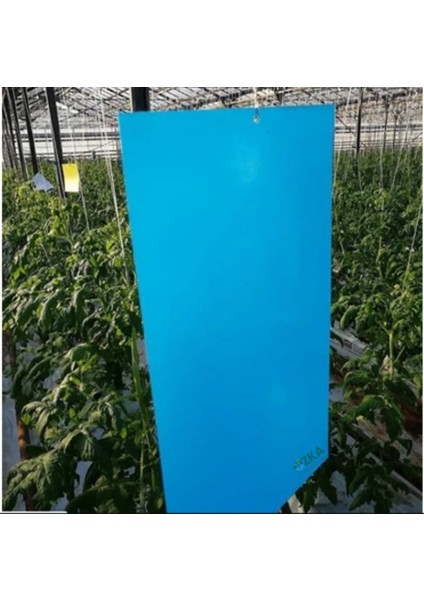 25×10 cm Mavi Kart Yapışkan Tuzak (100 Adet) – Trips Kontrolü fiyatları