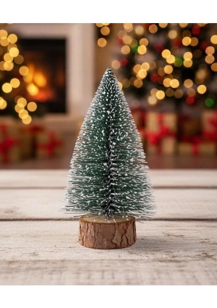 Mini Masa Çamı 16 cm