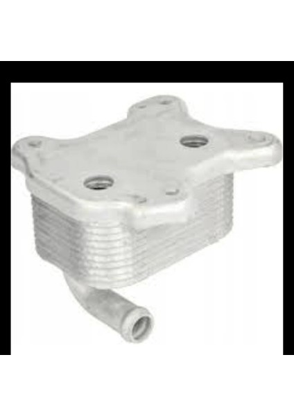 Opel Astra G 1.7 Cdtı 03 ve Sonrası Uyumlu Yağ Soğutucusu Tek (Kutuksuz) 2114385 00 Wısco