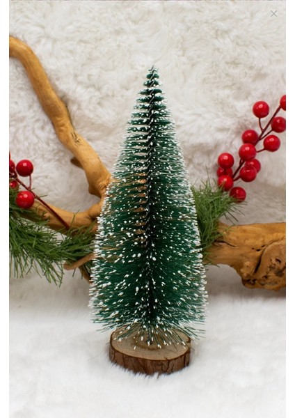 Mini Masa Çamı 20 cm fiyatları