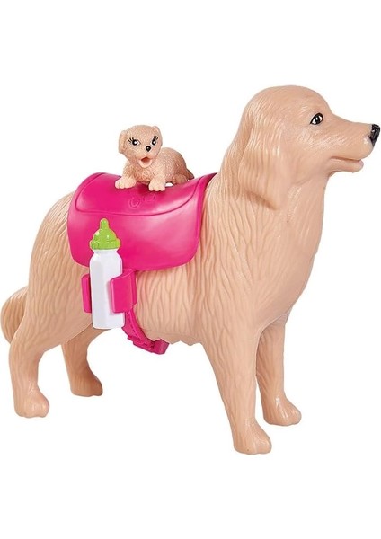 Evi Köpeği ve 3 Yavrusu SMB-105733072 fiyatları