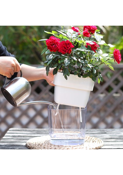 Kendinden Sulamalı Şeffaf Hazneli Kare Akıllı Saksı
