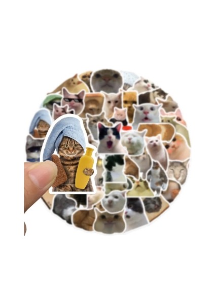 Çılgın Kediler Macbook Notebook Tablet Telefon Ajanda Laptop Defter Sticker Seti indirimleri