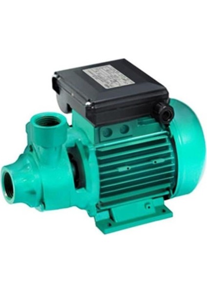 Initial Peripheral Pv 50 M 0.6 Kw 0.8 Hp 220V Tek Kademeli Preferik Pompa