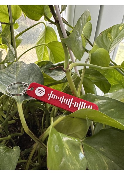 Kişiye Özel Hediye Sepeti|spotify Bardak ve Spotify Baskılı Anahtar fırsatları