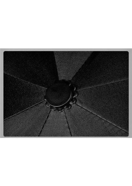 Siyah ve Lacivert 2'li Set, 8 Tellili Rüzgarda Dayanıklı Şemsiye