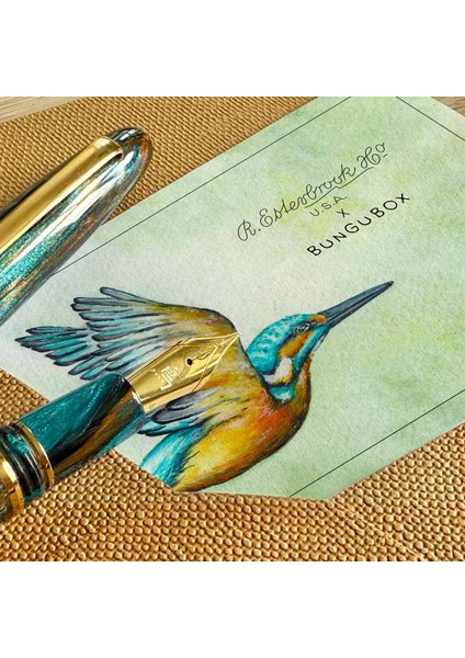 x Bungubox Kingfisher Kurutma Kağıdı modelleri