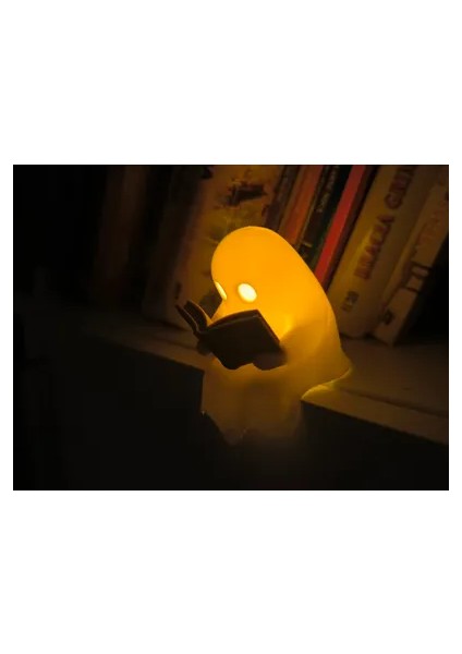 Işıklı Kitap Kurdu Hayalet Figürü (3d Baskı Gece Lambası)