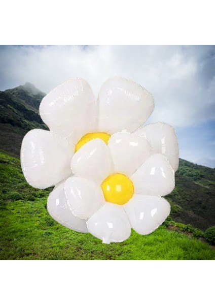 Folyo Balon Papatya 50X40 +71X71 2 Boy