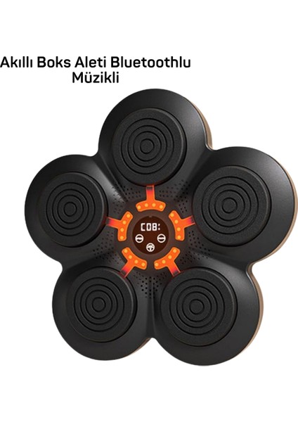 Müzi̇k Box Maki̇nesi̇