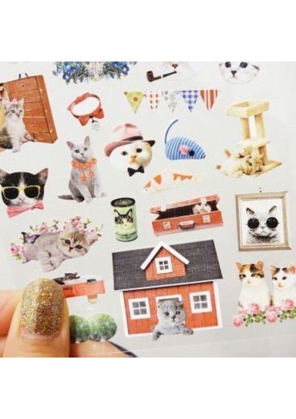 Deco Sticker Seti Alley Cat modelleri