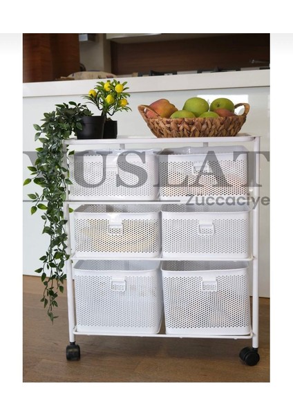 3 Katlı 6 Bölmeli Sebzelik