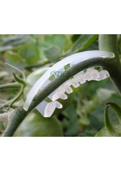 Salkım Koruma Klipsi (Tırtıl-Makarna) 1000 Adet – Dal Destek Klipsi